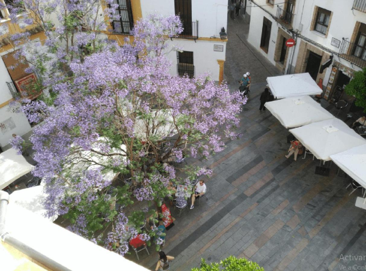 La Casa De La Musica Lägenhet Córdoba Exteriör bild